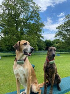 Bruno und Maja